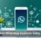 AI Makes WhatsApp Business Setup Easier